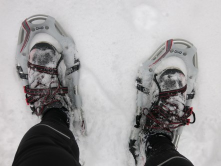Atlas Run Snowshoes
