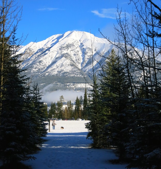 Mount Lady Macdonald from Quarry Lake park.