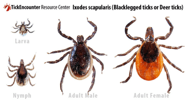 Screen Shot 2015-04-21 at 16.34.12